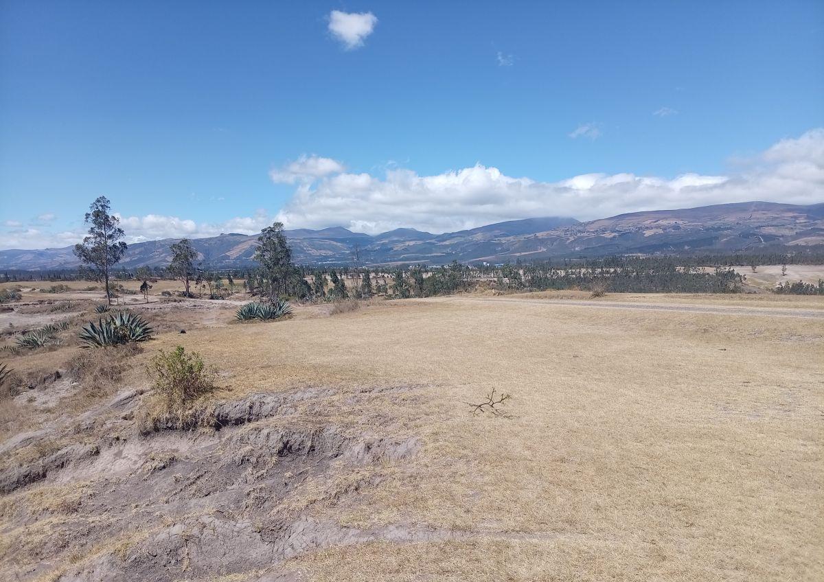 Terreno de 1000 m² en Venta en La Merced — imagen 8