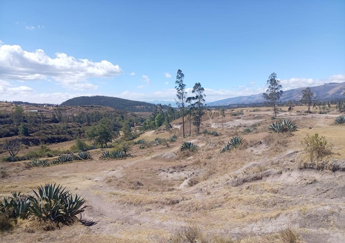 Terreno de 1000 m² en Venta en La Merced — imagen 7