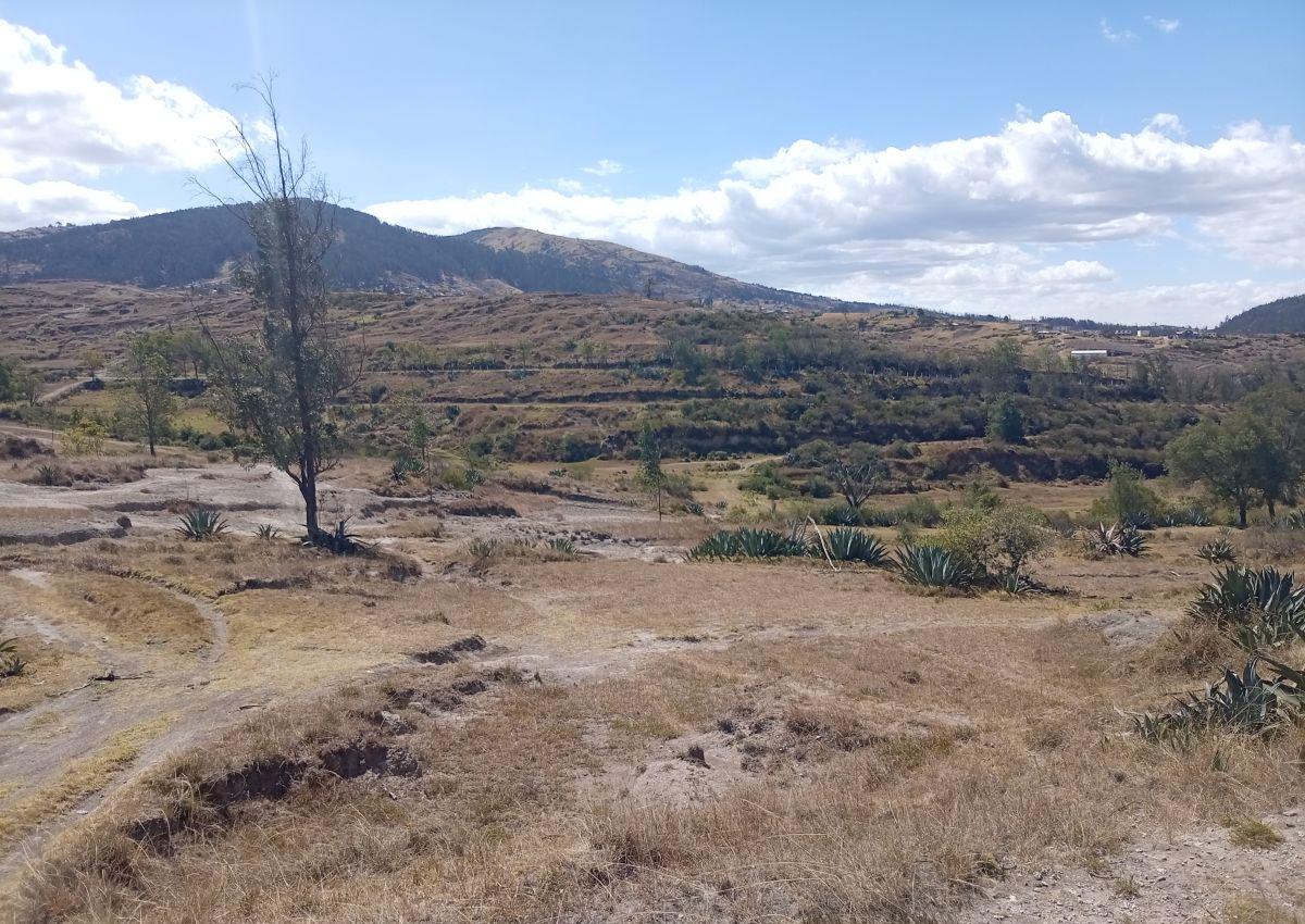 Terreno de 1000 m² en Venta en La Merced — imagen 6