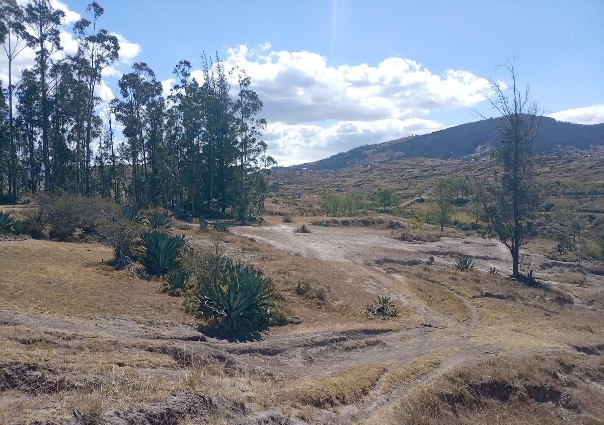 Terreno de 1000 m² en Venta en La Merced — imagen 5