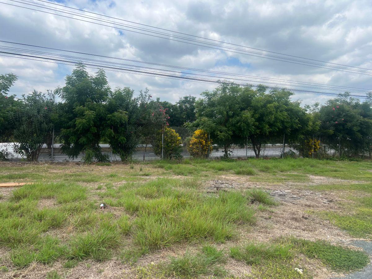 Venta 8.5 Has, con Galpón de 1000 m² Vía a La Costa Km. 43, Al Pie de La Vía. Guayas — imagen 6