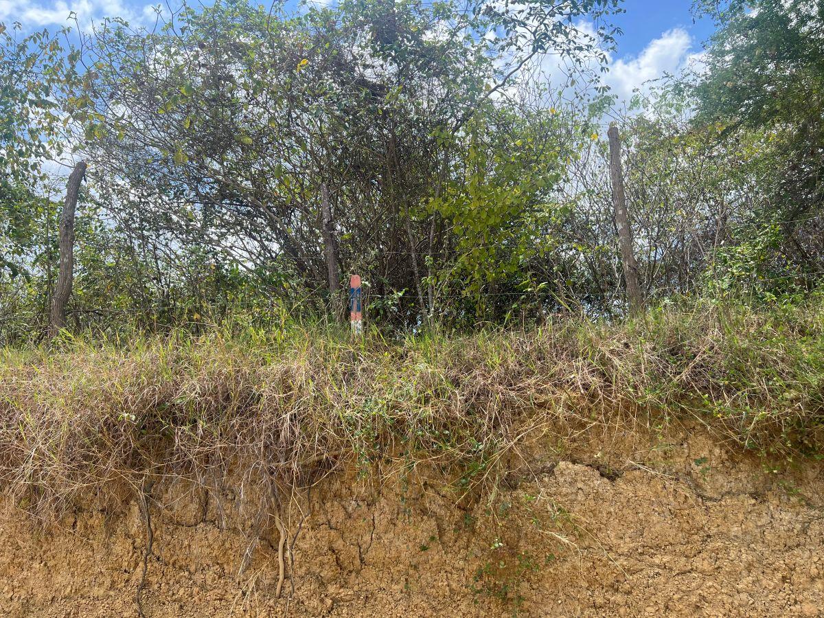 Venta 8.5 Has, con Galpón de 1000 m² Vía a La Costa Km. 43, Al Pie de La Vía. Guayas — imagen 4