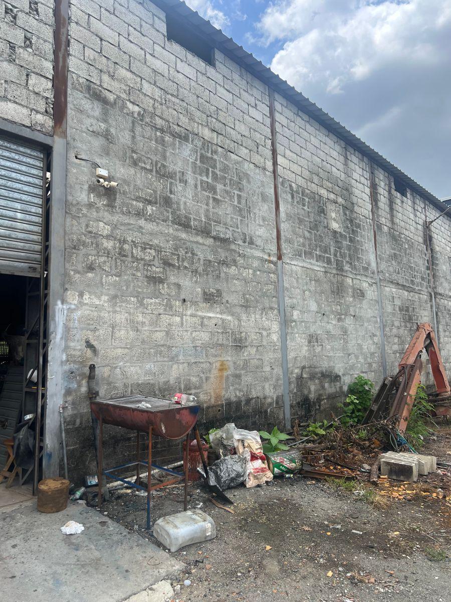 Venta 8.5 Has, con Galpón de 1000 m² Vía a La Costa Km. 43, Al Pie de La Vía. Guayas — imagen 3