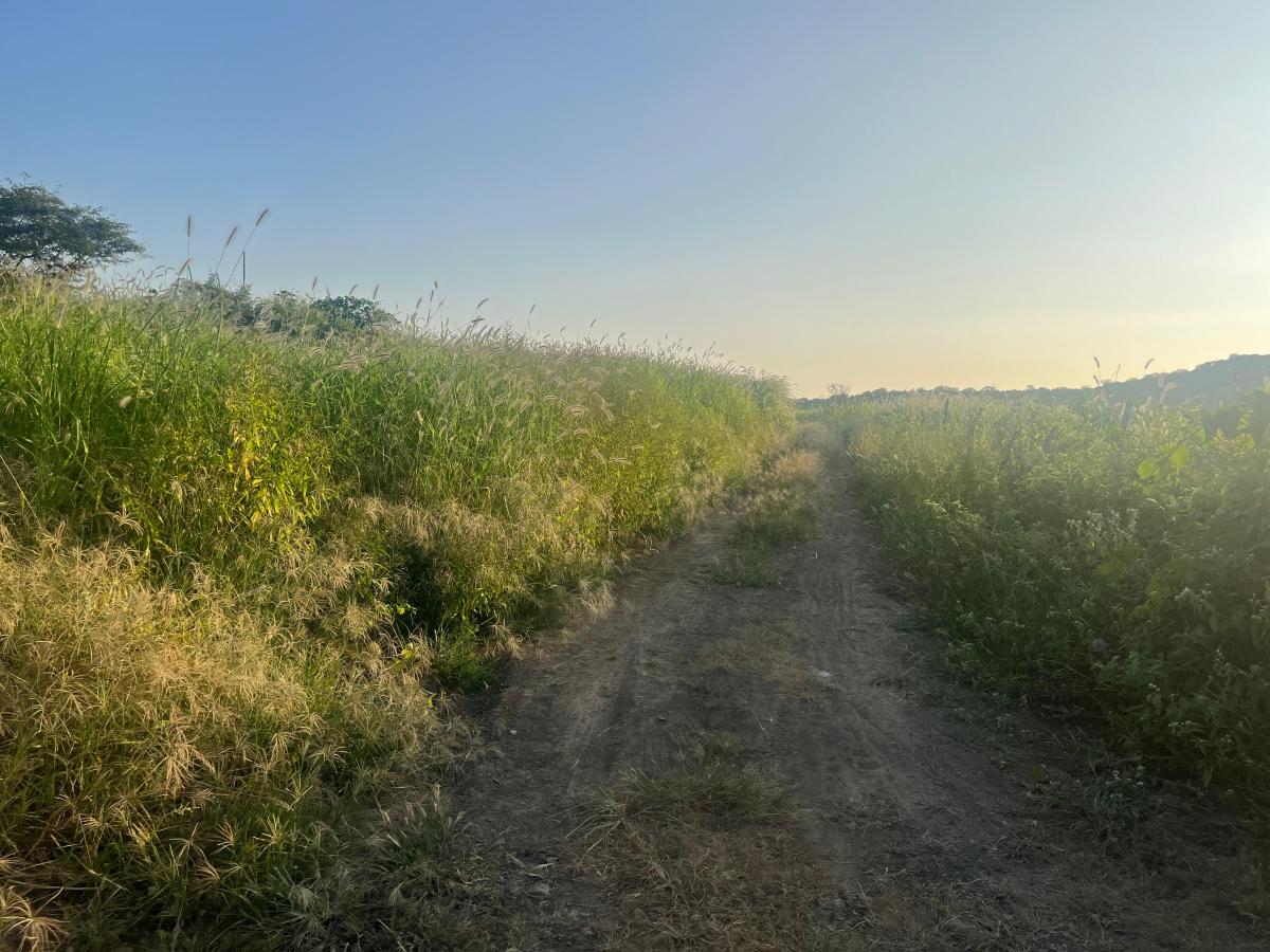 Vendo Terreno 60.000 m² en La Ruta del Spondylus Puerto Cayo Manantiales, Manabí — imagen 10