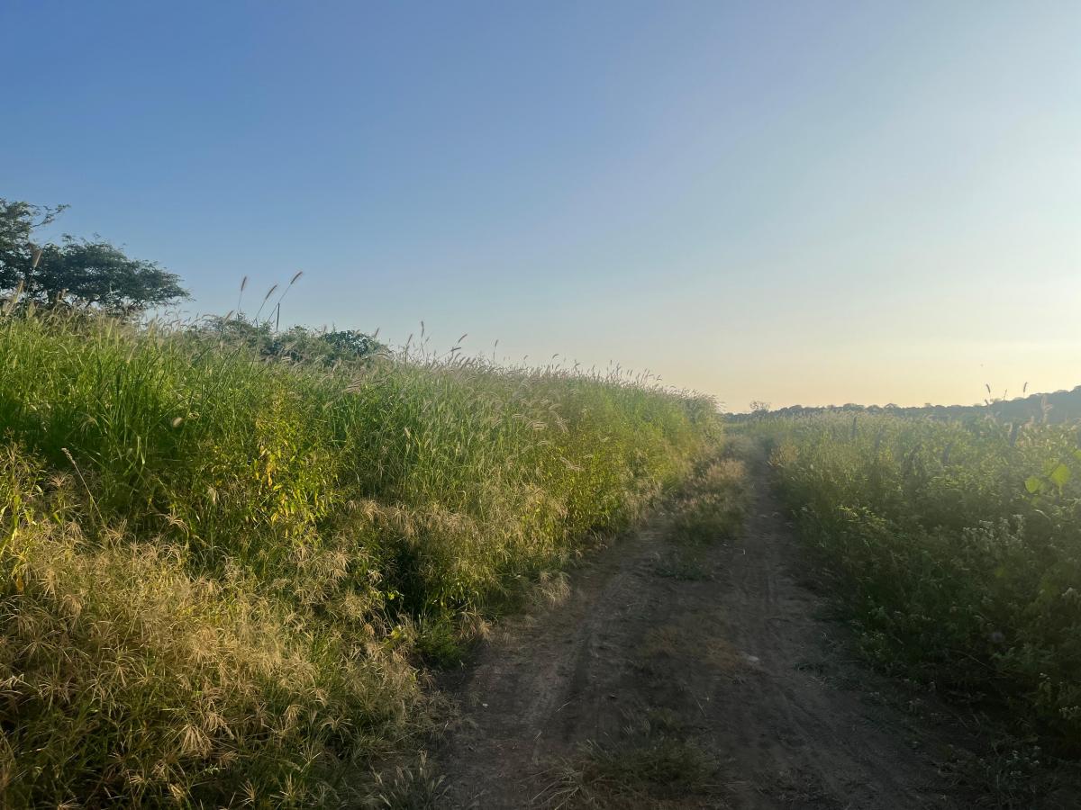 Vendo Terreno 60.000 m² en La Ruta del Spondylus Puerto Cayo Manantiales, Manabí — imagen 9