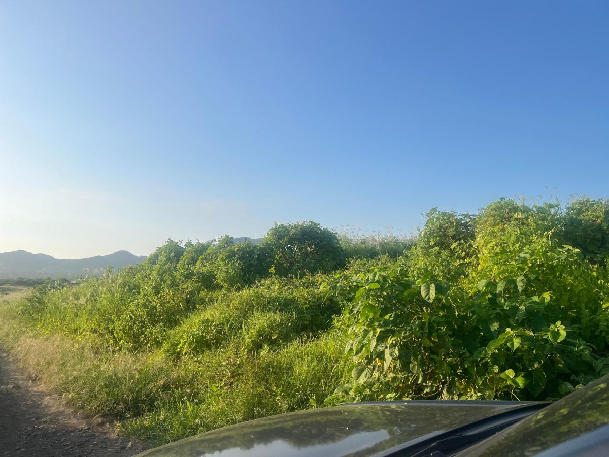 Vendo Terreno 60.000 m² en La Ruta del Spondylus Puerto Cayo Manantiales, Manabí — imagen 8