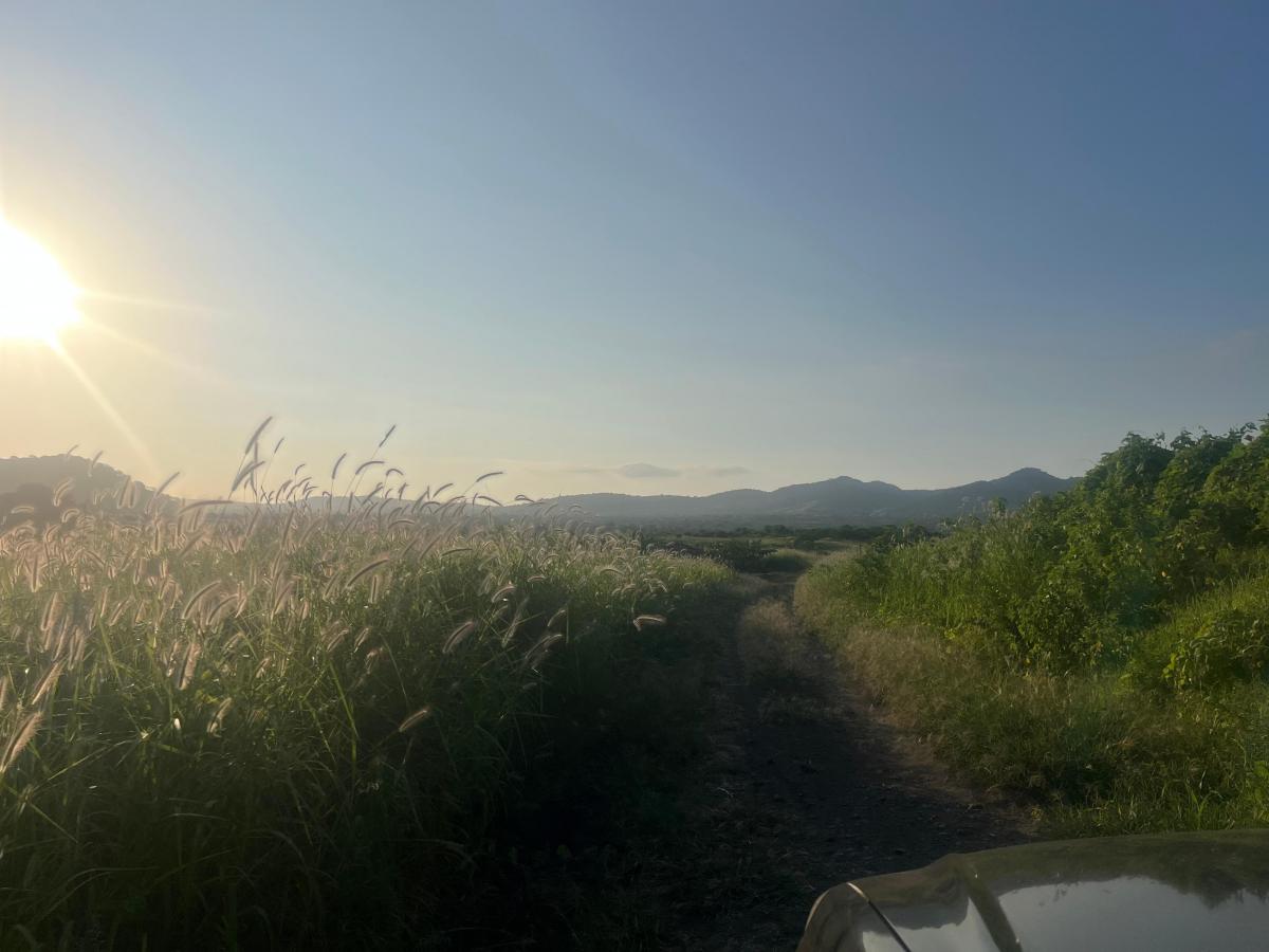 Vendo Terreno 60.000 m² en La Ruta del Spondylus Puerto Cayo Manantiales, Manabí — imagen 7