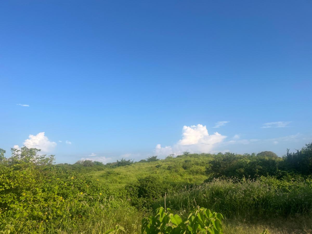 Vendo Terreno 60.000 m² en La Ruta del Spondylus Puerto Cayo Manantiales, Manabí — imagen 6