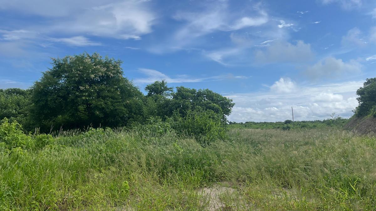 Vendo Terreno 60.000 m² en La Ruta del Spondylus Puerto Cayo Manantiales, Manabí — imagen 5