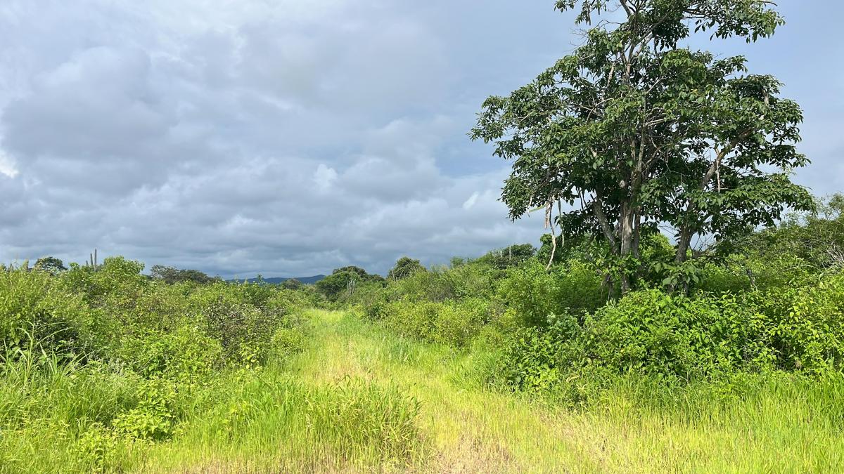 Vendo Terreno 60.000 m² en La Ruta del Spondylus Puerto Cayo Manantiales, Manabí — imagen 4