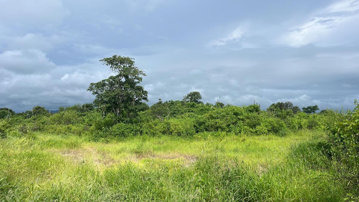 Vendo Terreno 60.000 m² en La Ruta del Spondylus Puerto Cayo Manantiales, Manabí — imagen 3