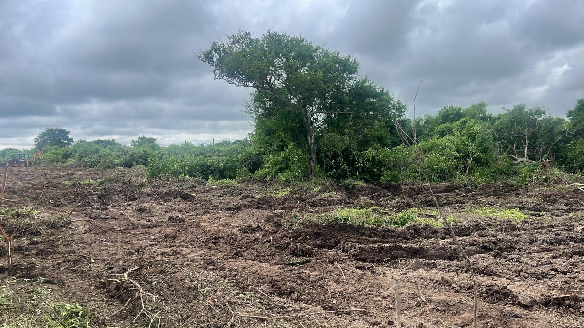 Vendo Terreno de 25.000 m² en Los Bajos del Pechiche Los Cardones, Manabí — imagen 3