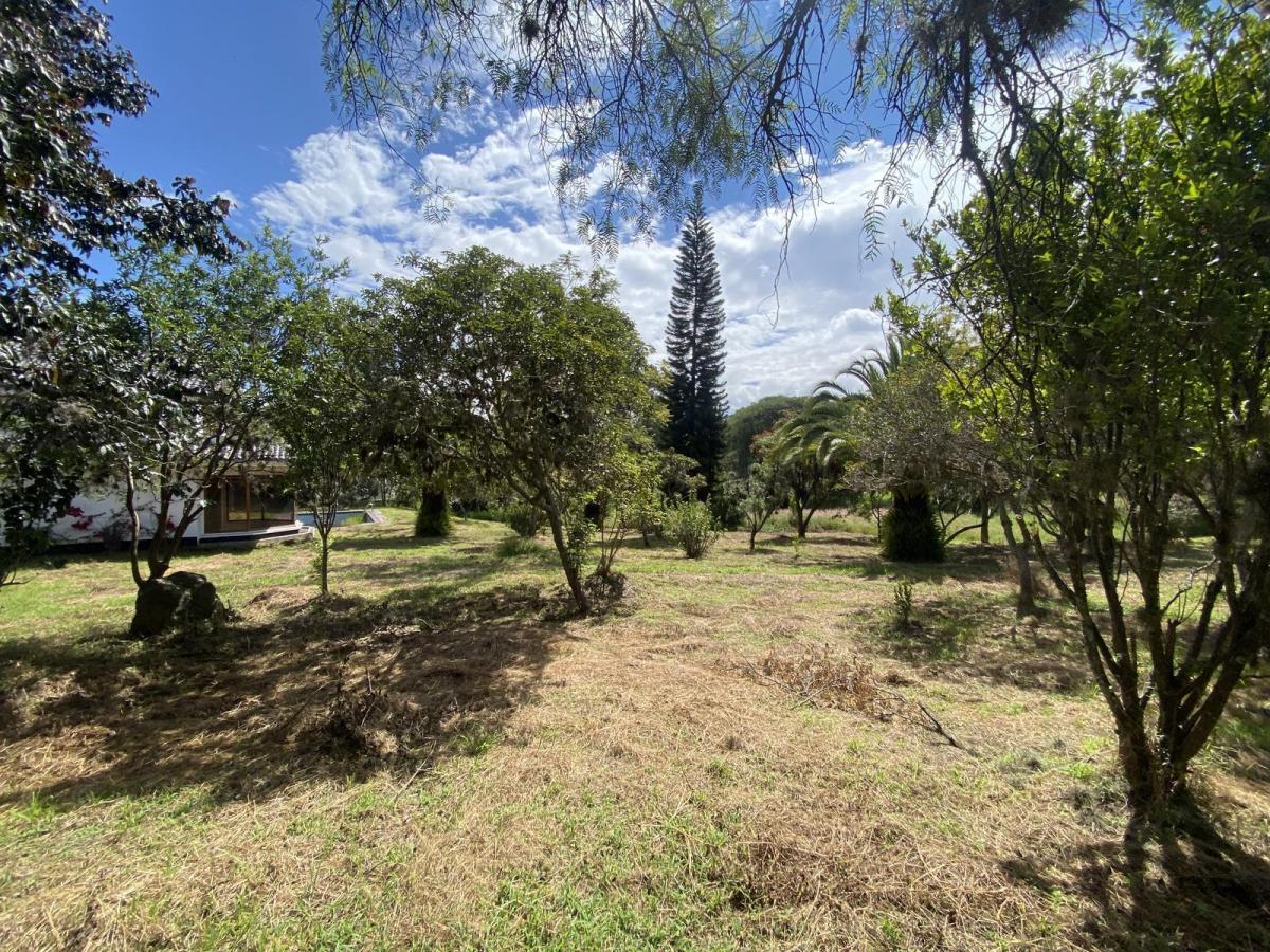 Terreno de Venta en Cumbayá, Dentro de La Urbanización La Viña. Ideal Constructores — imagen 10