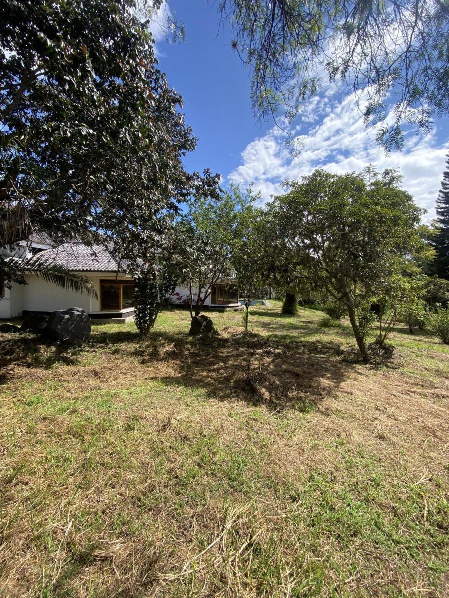 Terreno de Venta en Cumbayá, Dentro de La Urbanización La Viña. Ideal Constructores — imagen 9
