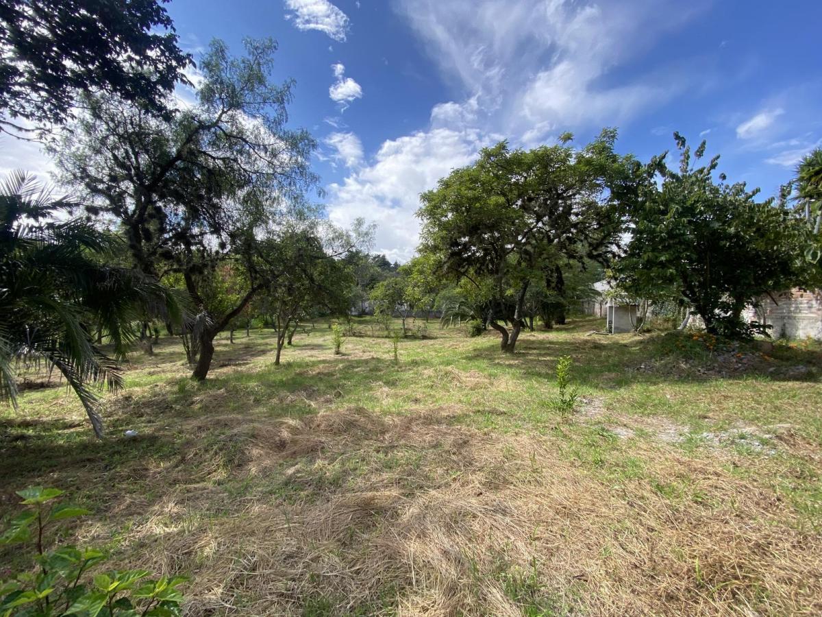 Terreno de Venta en Cumbayá, Dentro de La Urbanización La Viña. Ideal Constructores — imagen 8