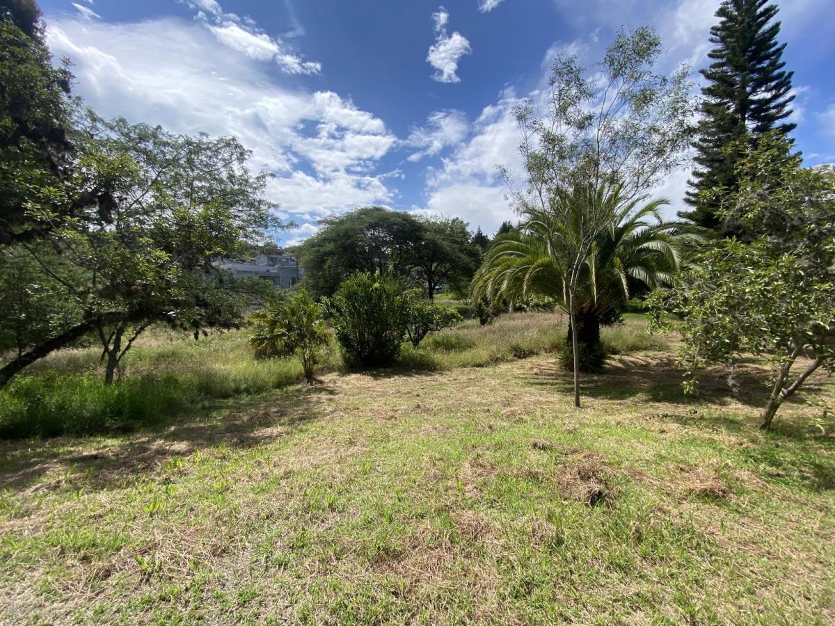Terreno de Venta en Cumbayá, Dentro de La Urbanización La Viña. Ideal Constructores — imagen 7