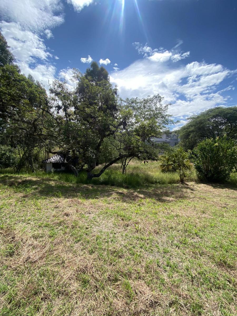 Terreno de Venta en Cumbayá, Dentro de La Urbanización La Viña. Ideal Constructores — imagen 6
