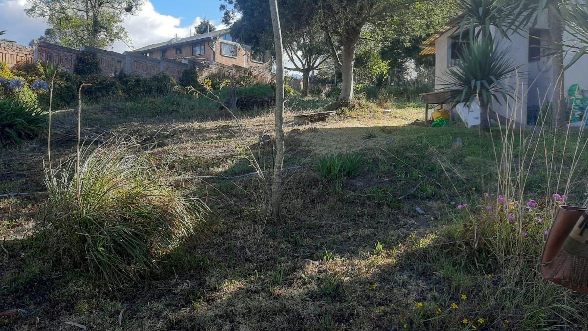 Vendo Terreno de 11.000 Me El Capri — imagen 8