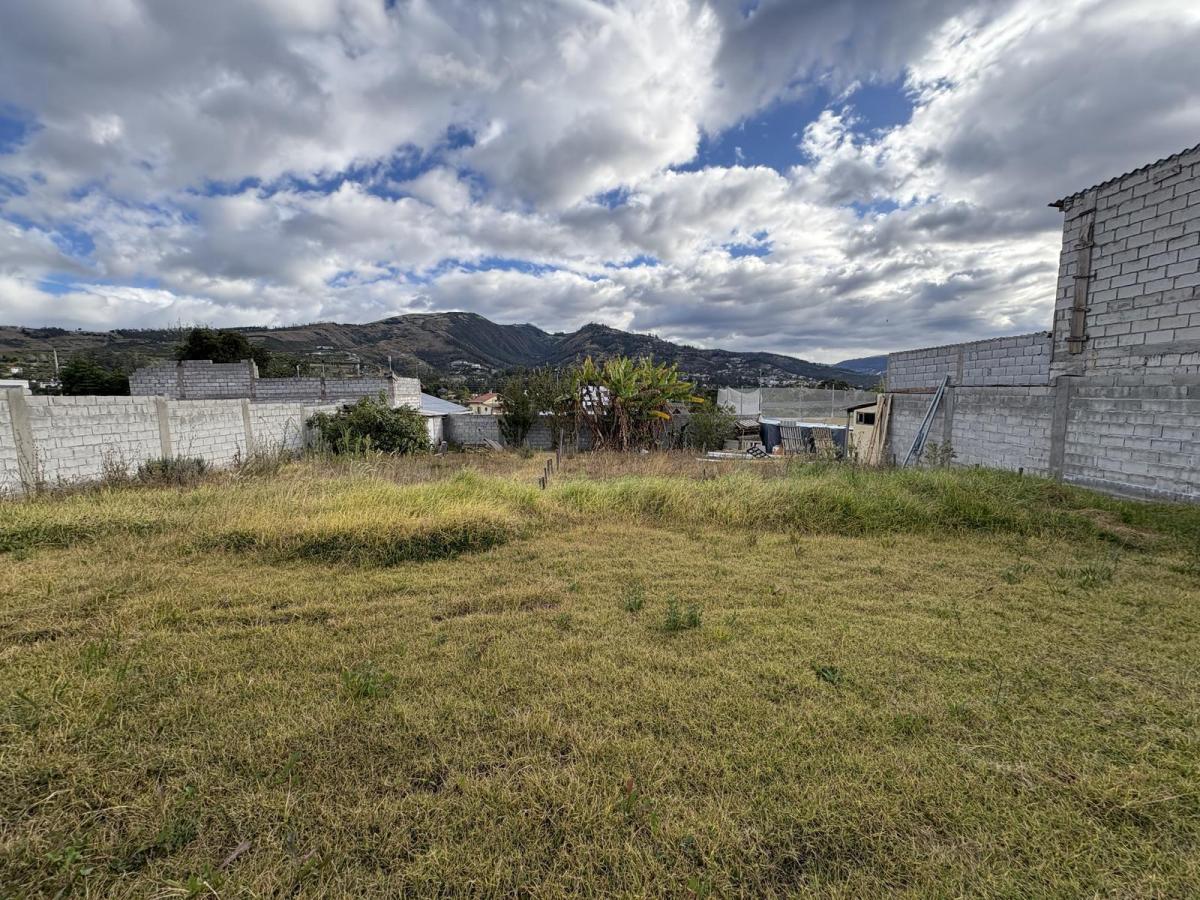 Terreno de Venta Independiente Mora Tumbaco Cerca a La Ruta Viva — imagen 7