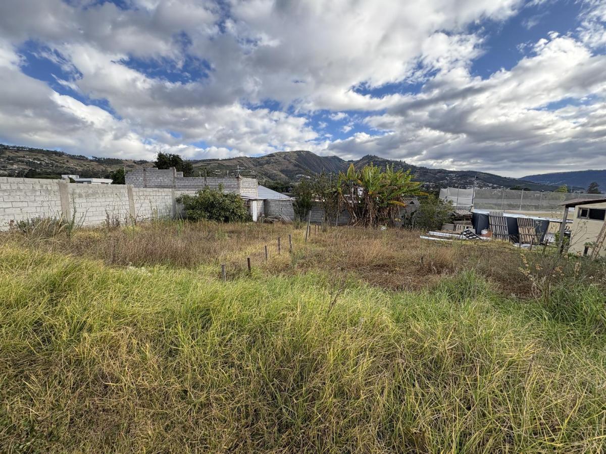Terreno de Venta Independiente Mora Tumbaco Cerca a La Ruta Viva — imagen 3