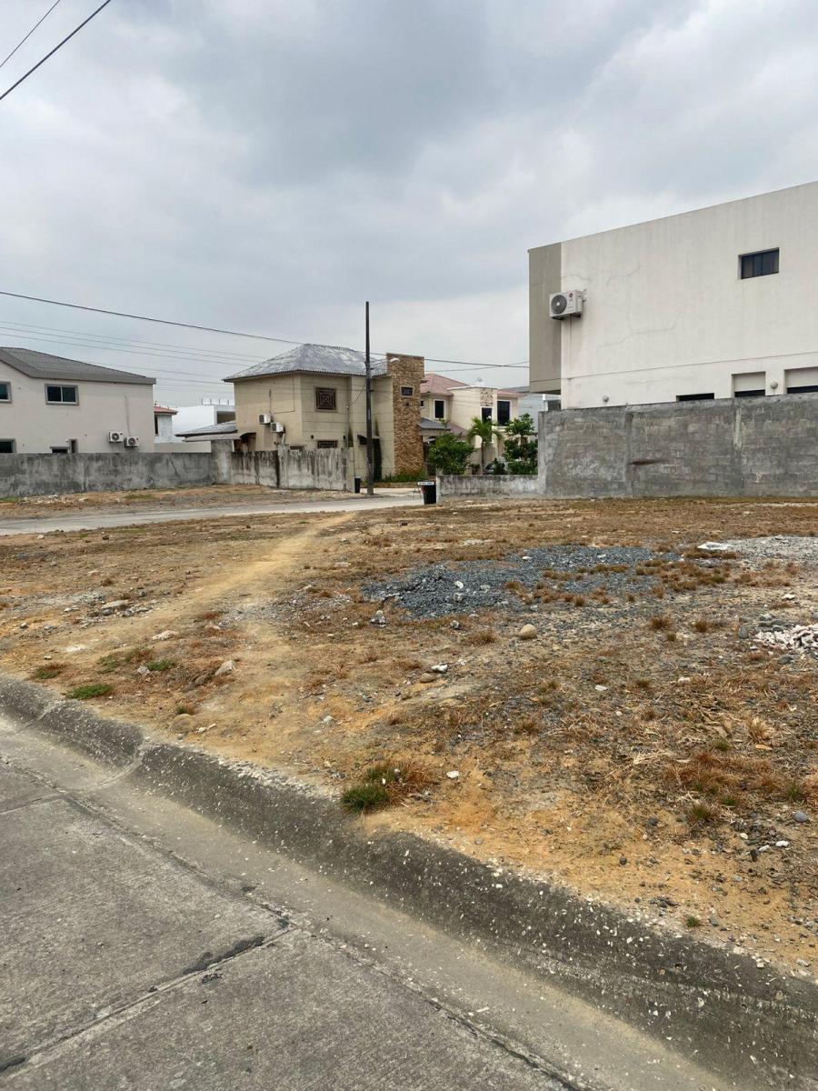 Vendo Terrenos en El Condado, Av Leon Febres Cordero, Guardiania 24/7, Guayas — imagen 5