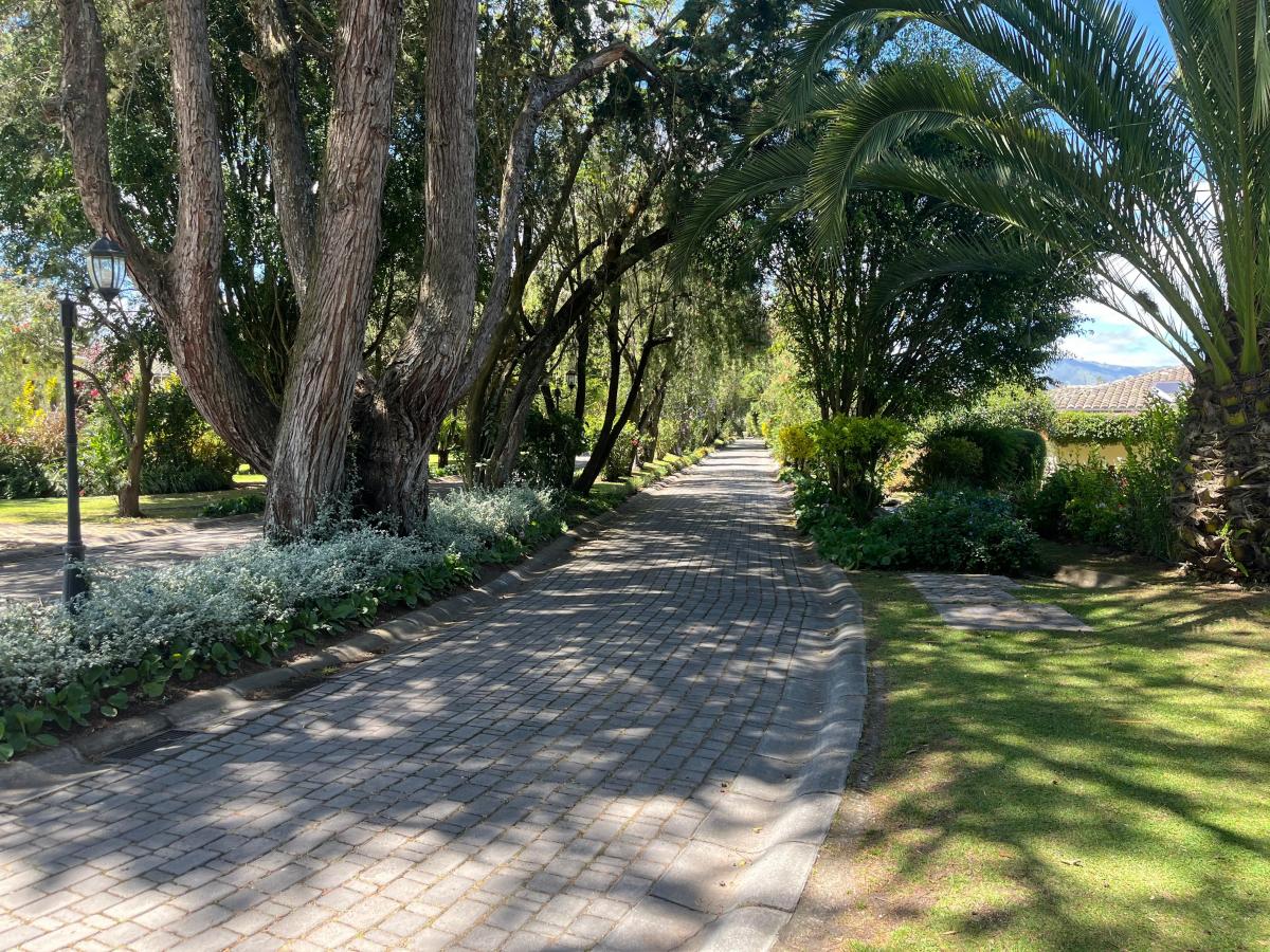 Checa Pakakuna Gardens Terreno de Venta 3.098 m² — imagen 10