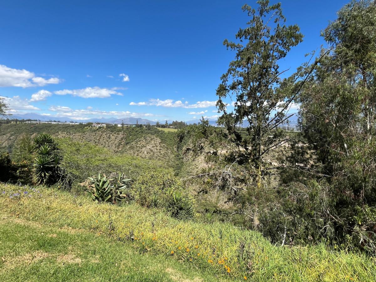 Checa Pakakuna Gardens Terreno de Venta 3.098 m² — imagen 8