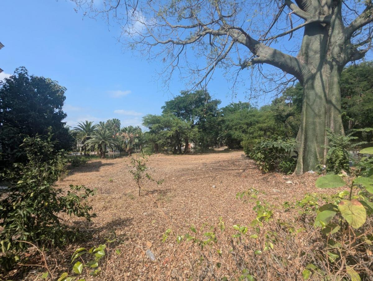 Terreno de Venta en Laguna Club Multifamiliar Ideal Para Proyecto Inmobiliario, Guayas — imagen 3