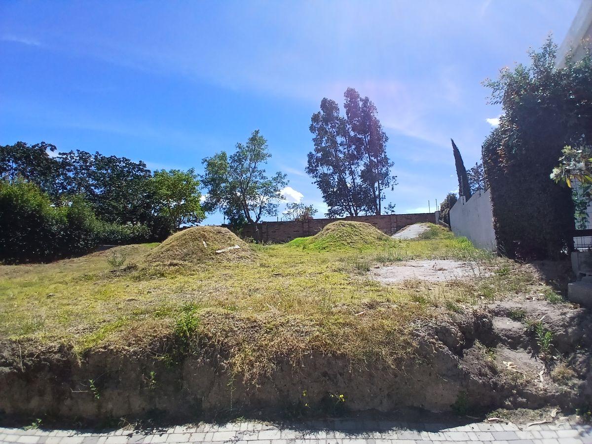 Vendo Terreno 416 m² Dentro de Conjunto Sector Sta Rosa — imagen 6