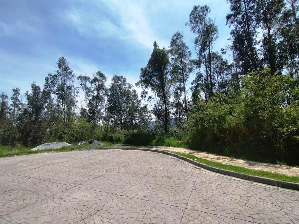 Terreno de 612 m² en Venta Sector Uide — imagen 6