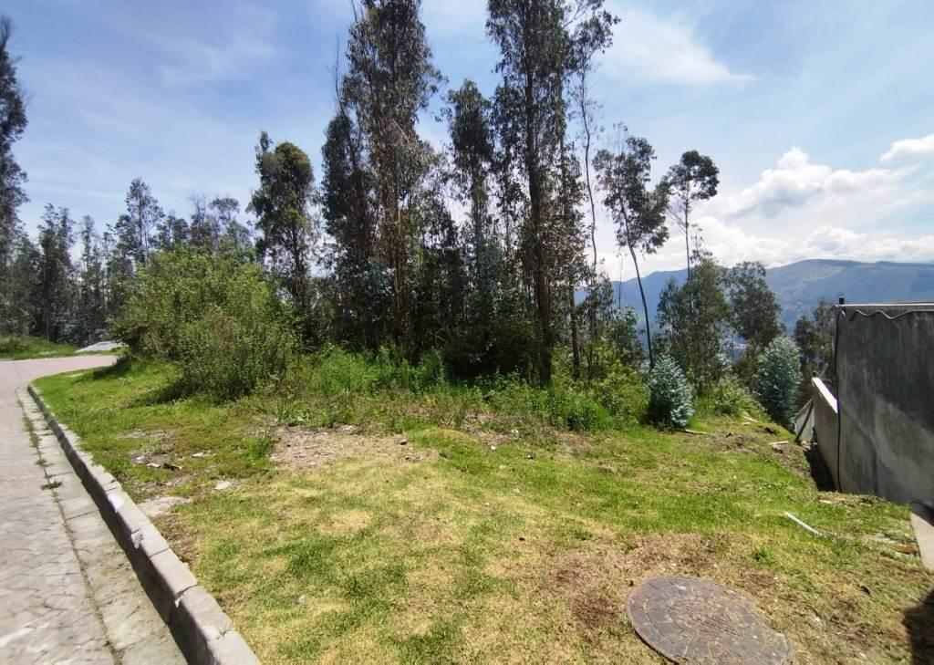 Terreno de 612 m² en Venta Sector Uide — imagen 5