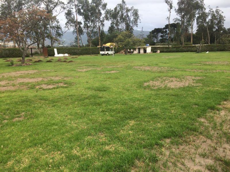 Espectacular Terreno de Venta en Puembo, Ideal Para Casas Familiares — imagen 9
