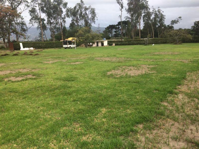 Espectacular Terreno de Venta en Puembo, Ideal Para Casas Familiares — imagen 7