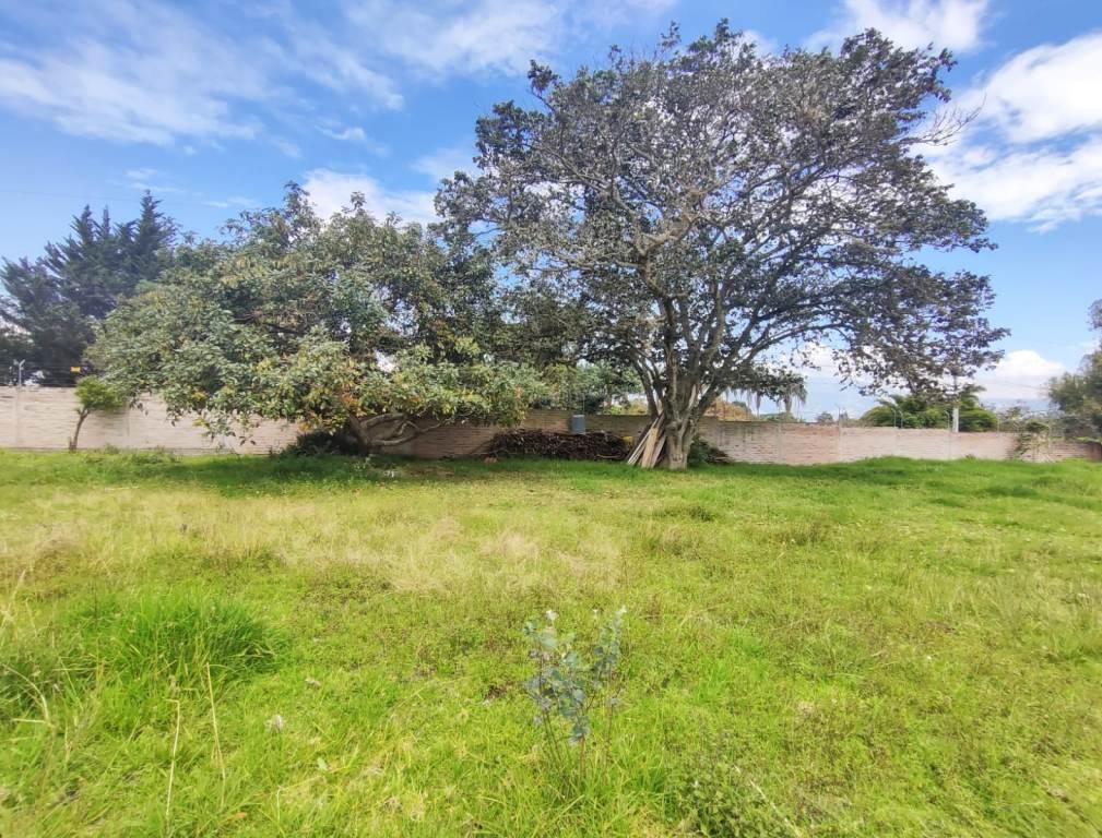 Terreno en Venta 1.750 m² en Puembo — imagen 4