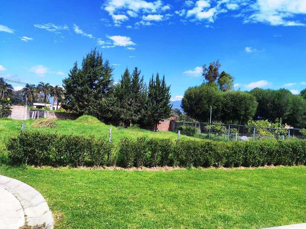 Terreno en Venta 1.750 m² en Puembo — imagen 3