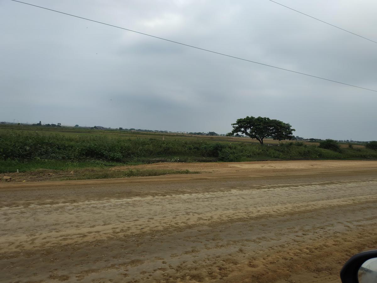 Terreno en El Vial 2 (Buijo) - Nuevo Samborondón Esta Listo Para La Compra, Guayas — imagen 3