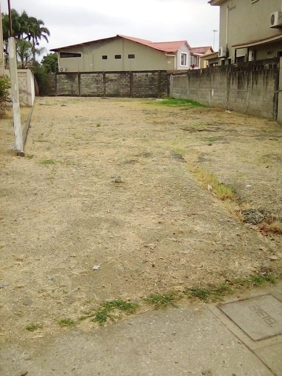 Terreno en Venta – Urb. Santa María de Casa Grande – 400 m² (Wb), Guayas — imagen 6