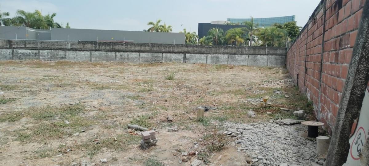 En Venta Terreno, Km 2.5 Via a Samborondon, Guayas - C. Garcia, Guayas — imagen 4