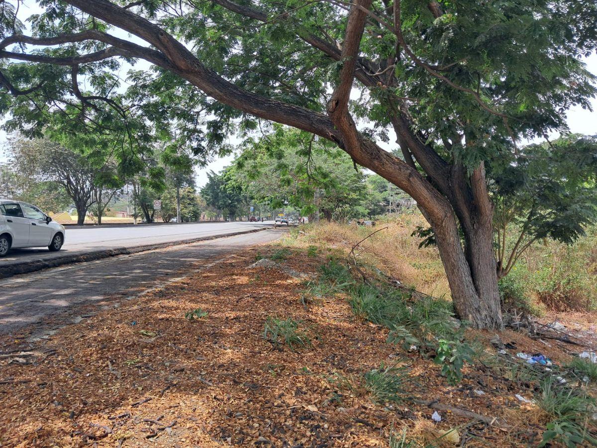 Via a La Costa Km 22 Venta de Terreno, Guayas — imagen 7