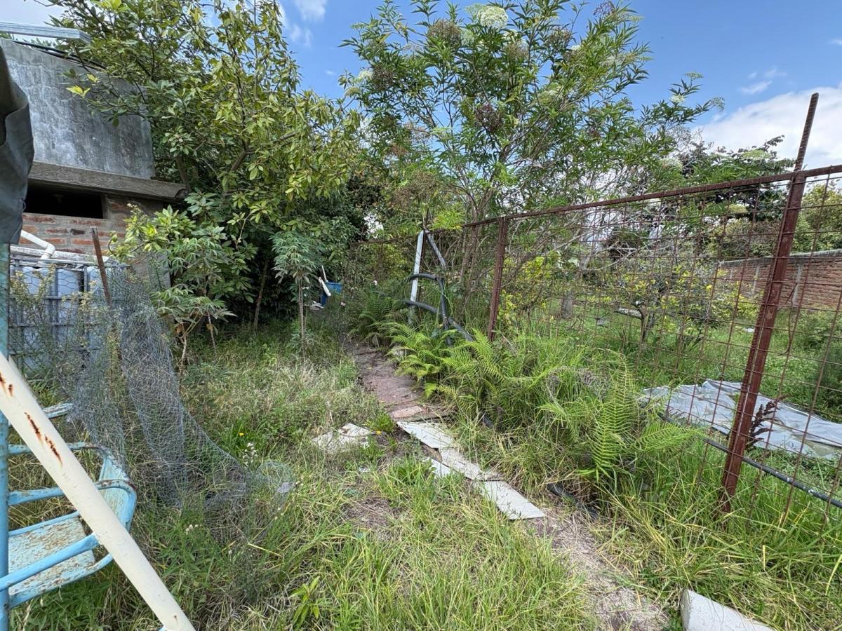 Terreno - Tumbaco — imagen 5