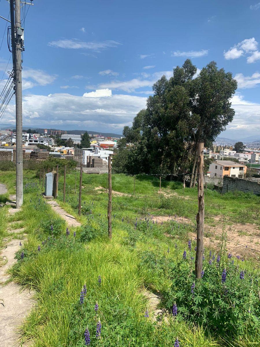 Terreno de 516 m² de Venta en Urbanización Ron Muñoz, Av Eloy Alfaro — imagen 5