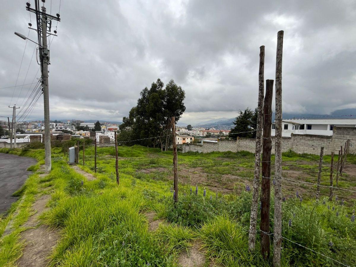 Terreno de 516 m² de Venta en Urbanización Ron Muñoz, Av Eloy Alfaro — imagen 4