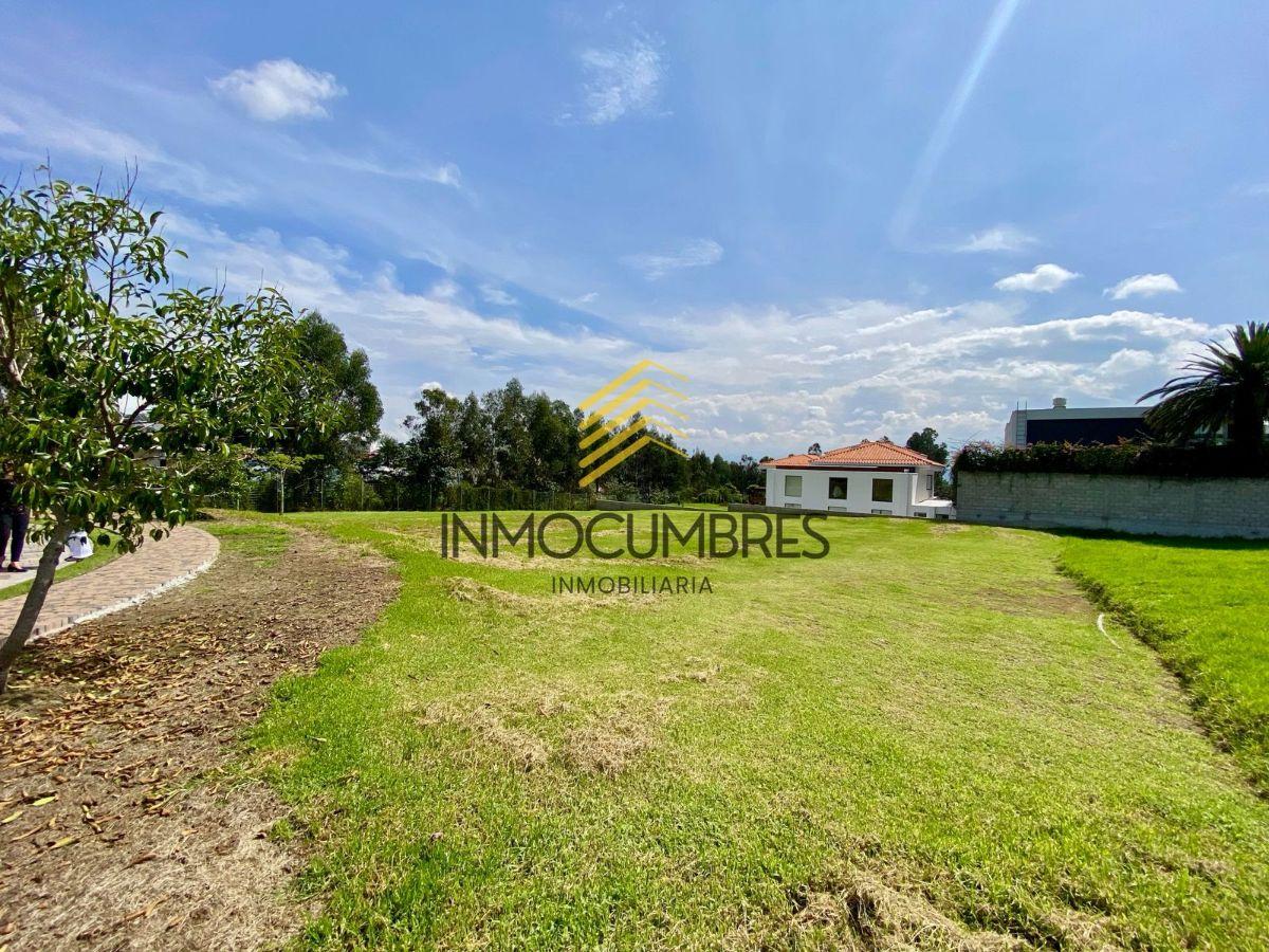 Terreno en Cumbaya en Urbanización de Lujo en Venta — imagen 8