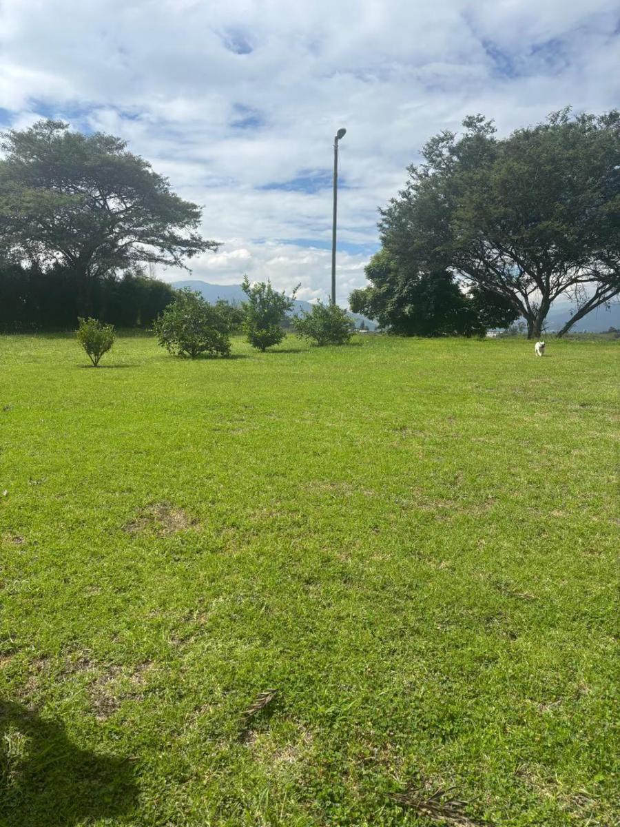 Exclusivos Terrenos en Puembo — imagen 10