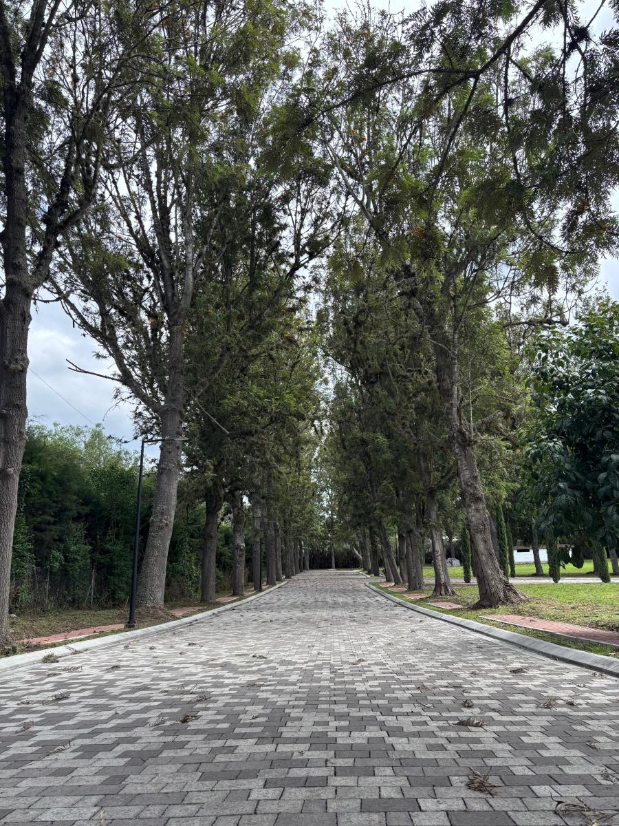 Exclusivos Terrenos en Puembo — imagen 7
