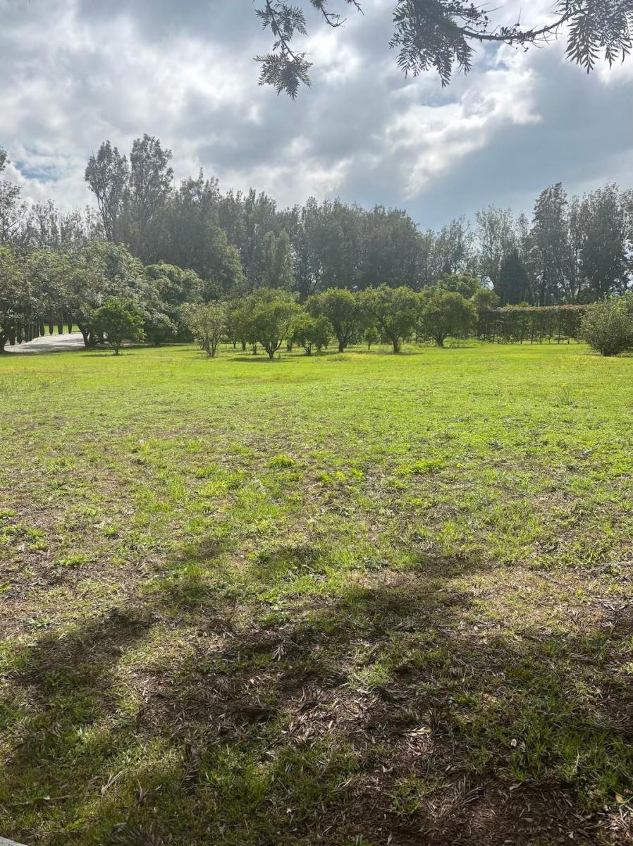 Exclusivos Terrenos en Puembo — imagen 6