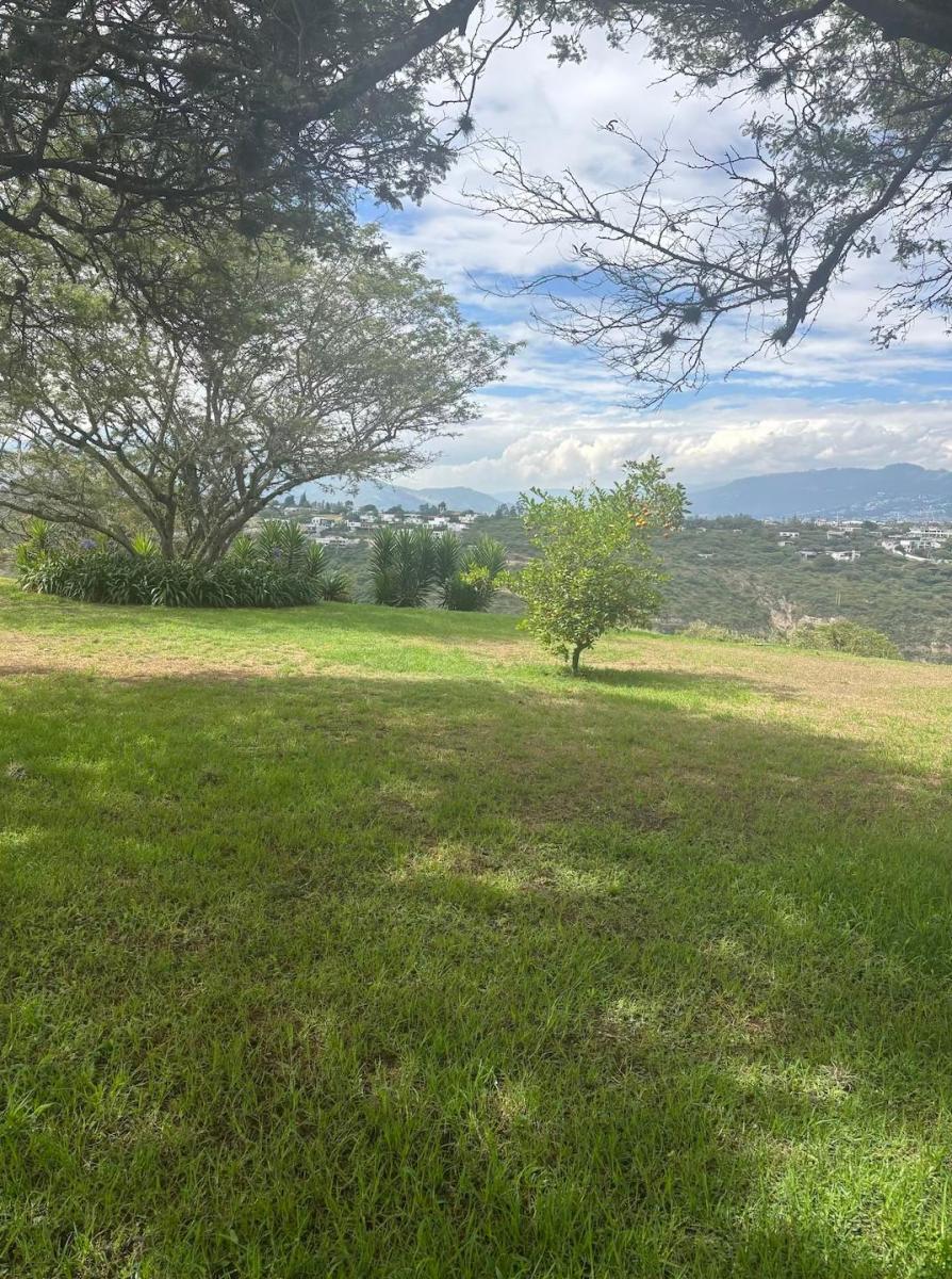 Exclusivos Terrenos en Puembo — imagen 5