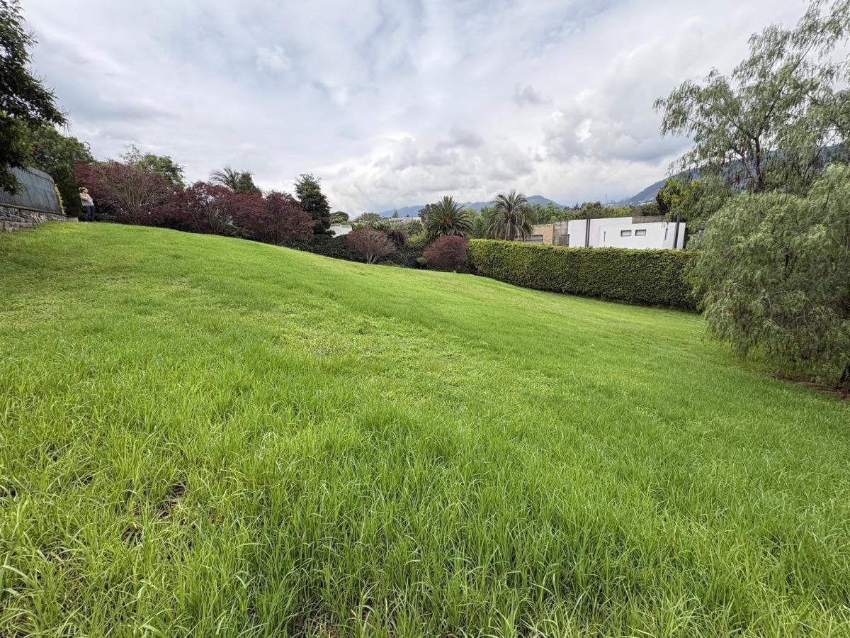 Terreno en Venta en Cumbaya Urb. Meneses Pallares — imagen 6