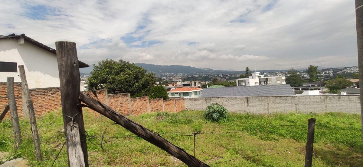 Lote de Venta Cumbaya La Primavera 1 — imagen 6