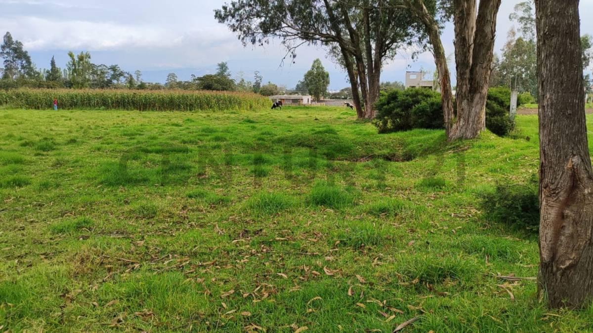 Dos Lotes de Terreno en Venta Parroquia Ascazubi - Cayambe — imagen 6